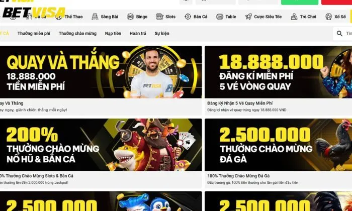 Chương trình chào mừng người chơi tại Betvisa