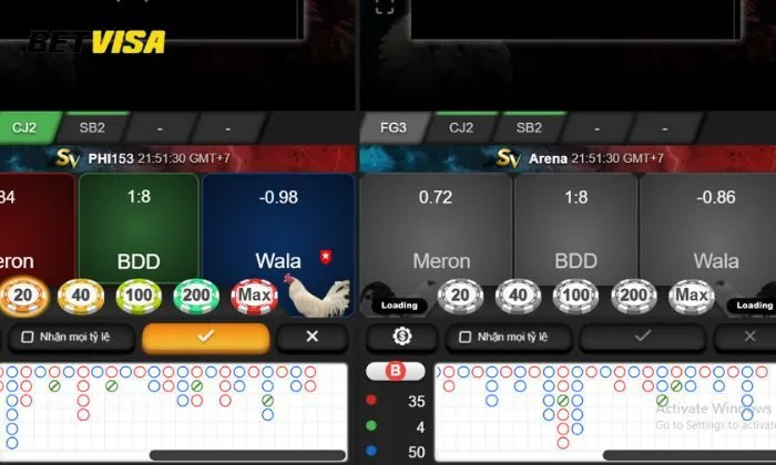 đá gà betvisa Betvisa mang đến cho người chơi những trận đấu gà hấp dẫn