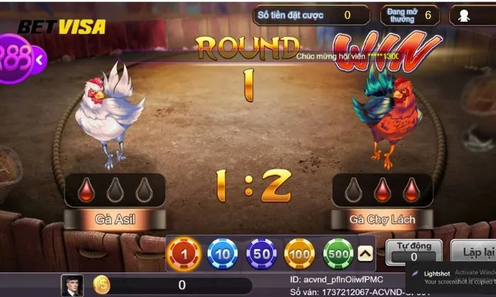 đá gà betvisa Luật chơi và các hình thức cược trong Đá gà Betvisa