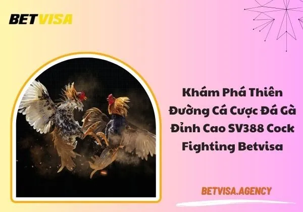 SV388 Cock Fighting Betvisa